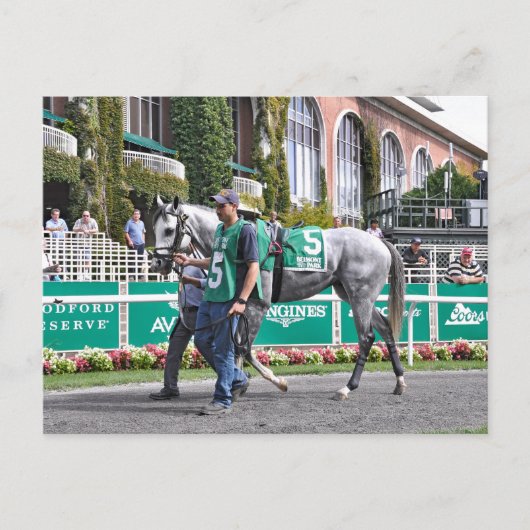 Disco Partner Postkarte (Vorderseite)