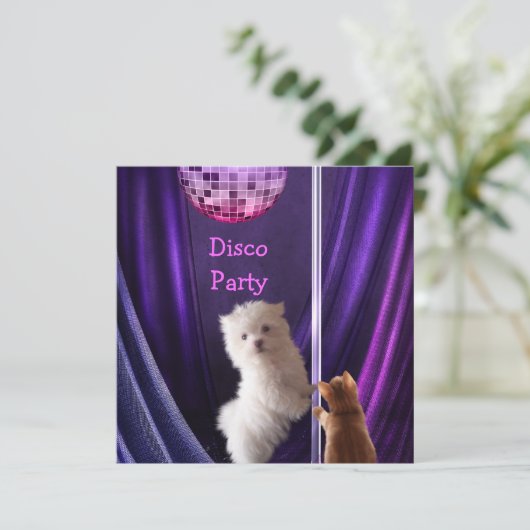 Disco Party Hund Katze Maltesisch Bachelorette Einladung (Stehend Vorderseite)