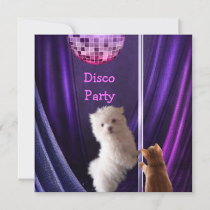 Disco Party Hund Katze Maltesisch Bachelorette Einladung