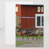 DISCO-ROTWILD BRIEFPAPIER (Vorne/Hinten)
