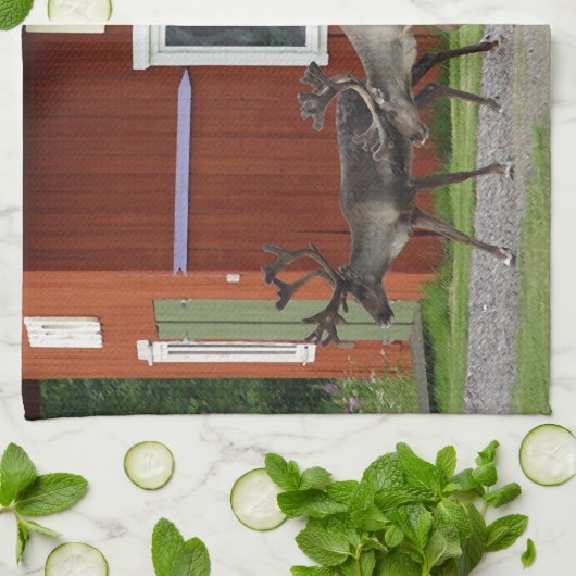 DISCO-ROTWILD GESCHIRRTUCH (Gefaltet)