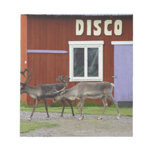 DISCO-ROTWILD NOTIZBLOCK