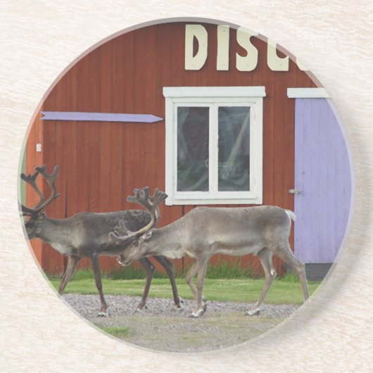 DISCO-ROTWILD SANDSTEIN UNTERSETZER (Vorne)
