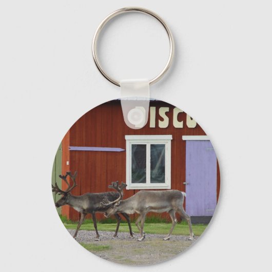 DISCO-ROTWILD SCHLÜSSELANHÄNGER (Vorderseite)