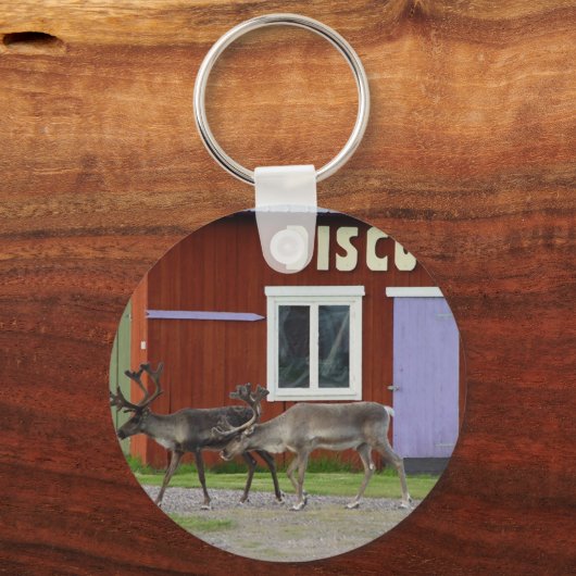 DISCO-ROTWILD SCHLÜSSELANHÄNGER (Vorderseite)