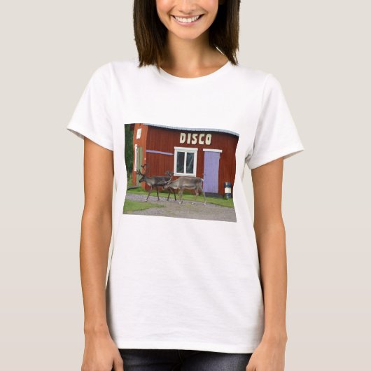 DISCO-ROTWILD T-Shirt (Vorderseite)