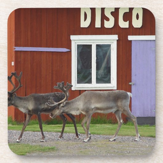 DISCO-ROTWILD UNTERSETZER (Vorderseite)