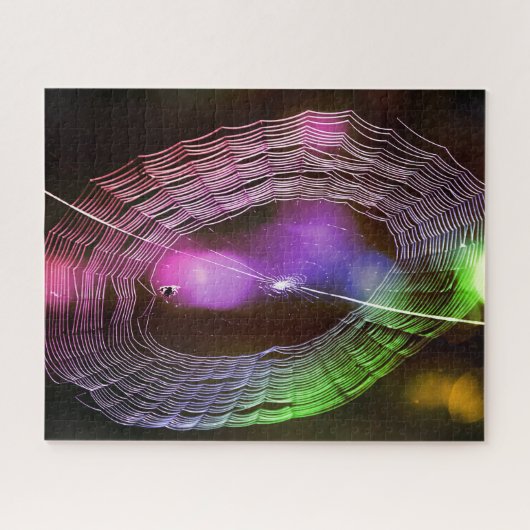 Disco Style Spider Web Puzzle (Horizontal)