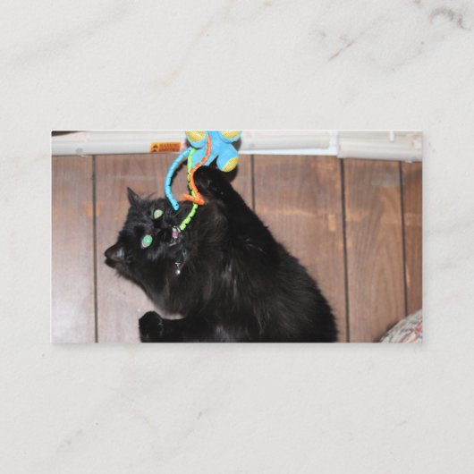 Disco Visitenkarte (Rückseite)