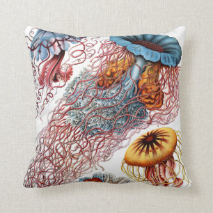 Discomedusae durch Ernst Haeckel Kissen