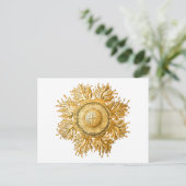 Discomedusae Postkarte (Stehend Vorderseite)