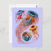 Discomedusae Postkarte (Vorne/Hinten)