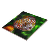 Discus_20170601_by_JAMColors Fliese (Seite)