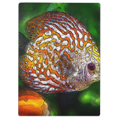 Discus_20170601_by_JAMColors Klemmbrett (Rückseite)