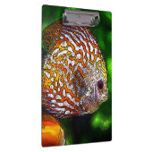 Discus_20170601_by_JAMColors Klemmbrett (Rechts)