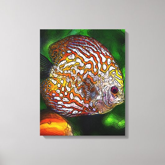 Discus_20170601_by_JAMColors Leinwanddruck (Vorderseite)