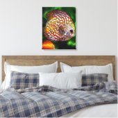 Discus_20170601_by_JAMColors Leinwanddruck (Insitu (Schlafzimmer))