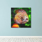 Discus_20170601_by_JAMColors Leinwanddruck (Insitu (Holzboden))