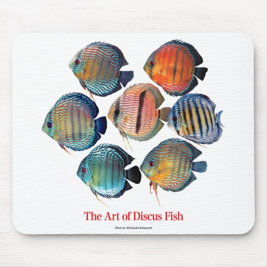 Discus fishのマウスパッド mousepad (Vorne)