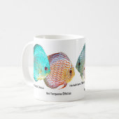 Discus fish kaffeetasse (Vorderseite Links)
