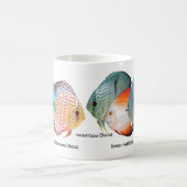 Discus fish kaffeetasse (Mittel)