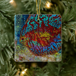 Discus Fish Keramikornament