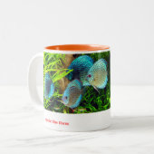 Discus fish zweifarbige tasse (Vorderseite Links)