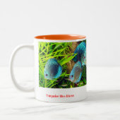 Discus fish zweifarbige tasse (Links)