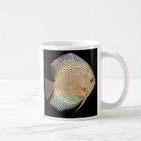 Discus