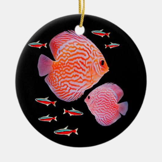Discus Kardinal Tetras Aquarium Panzerfische Keramik Ornament (Vorne)