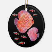 Discus Kardinal Tetras Aquarium Panzerfische Keramik Ornament (Links)