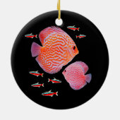 Discus Kardinal Tetras Aquarium Panzerfische Keramik Ornament (Hinten)