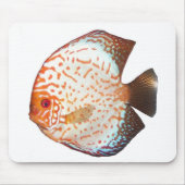 Discus Mousepad (Vorne)