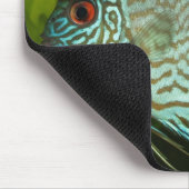 Discus - Symphysodon aequifasciata Mousepad (Ecke)