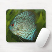 Discus - Symphysodon aequifasciata Mousepad (Mit Mouse)
