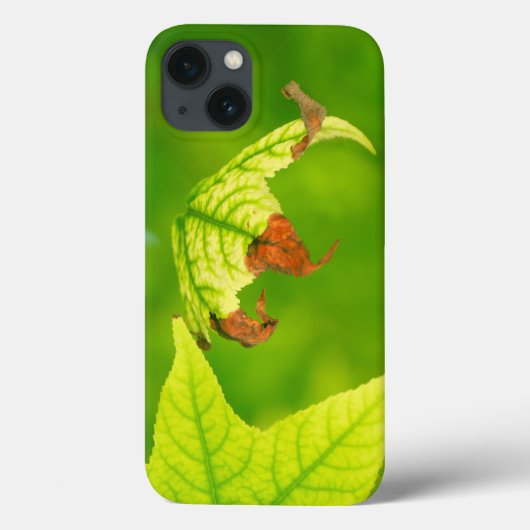 Diseased Maple Leaf Case-Mate iPhone Hülle (Rückseite)