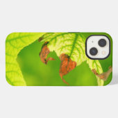 Diseased Maple Leaf iPhone Hülle (Rückseite (Horizontal))