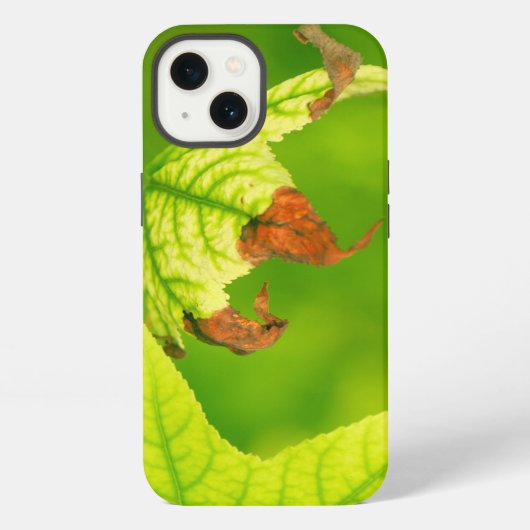 Diseased Maple Leaf iPhone Hülle (Rückseite)