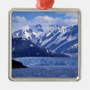 Disenchantment Bay und Hubbard-Gletscher, Silbernes Ornament