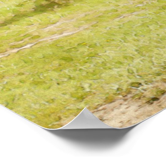 Disk Golf Basket 7 Poster (Ecke)