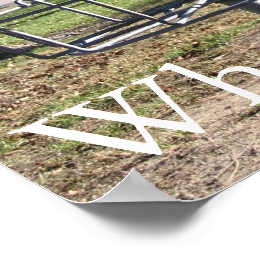 Disk Golf Poster (Ecke)