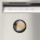 Diskussion Magnet (In Situ (Geschirrspüler))