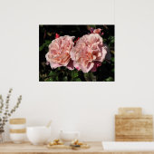 Distant Drums Shrub Rose 142 Poster (Küche)