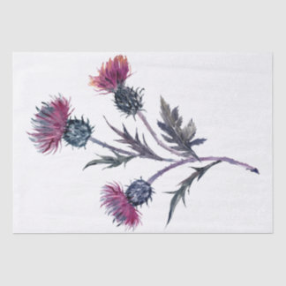 Distel aus den schottischen Highlands Aquarell Seidenpapier