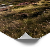 Distel Falke Hochland Himmel Poster (Ecke)