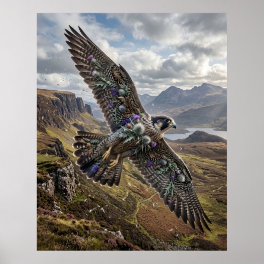 Distel Falke Hochland Himmel Poster (Vorne)