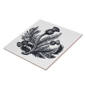 Distel Fliese (Seite)