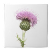 Distel Fliese (Vorderseite)