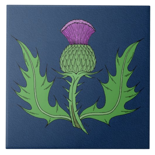 Distel Fliese (Vorderseite)