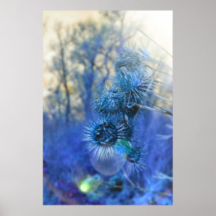 Distel in Lila Poster